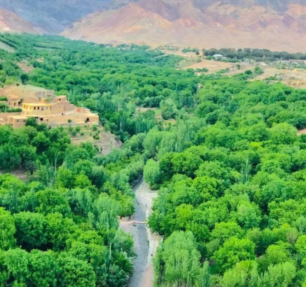 Chisht Sharif