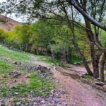 Karukh District of Herat Province
