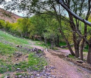 Karukh District of Herat Province