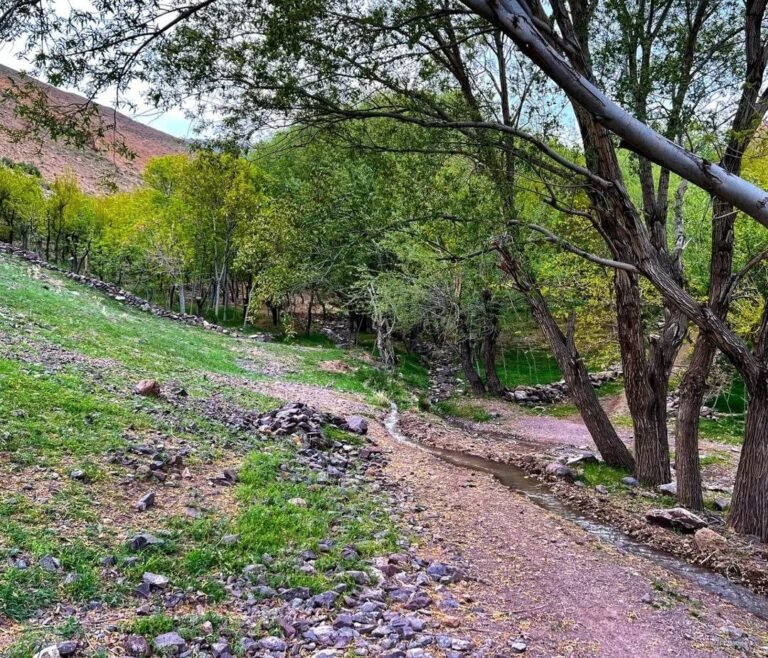 Karukh District of Herat Province