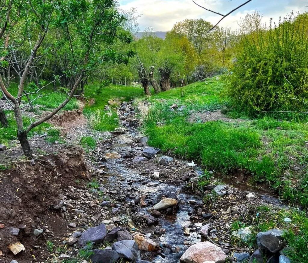 کرخ ولسوالي