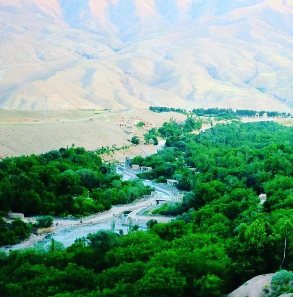 Guzara District