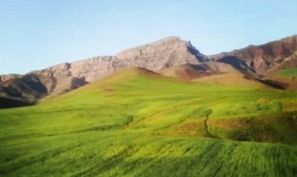 ولسوالی گلران