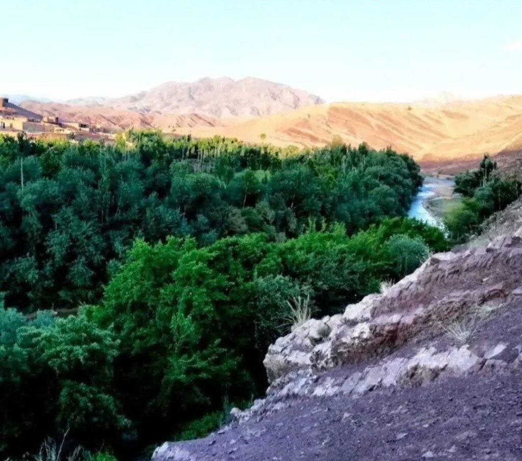 ولسوالی ادرسکن