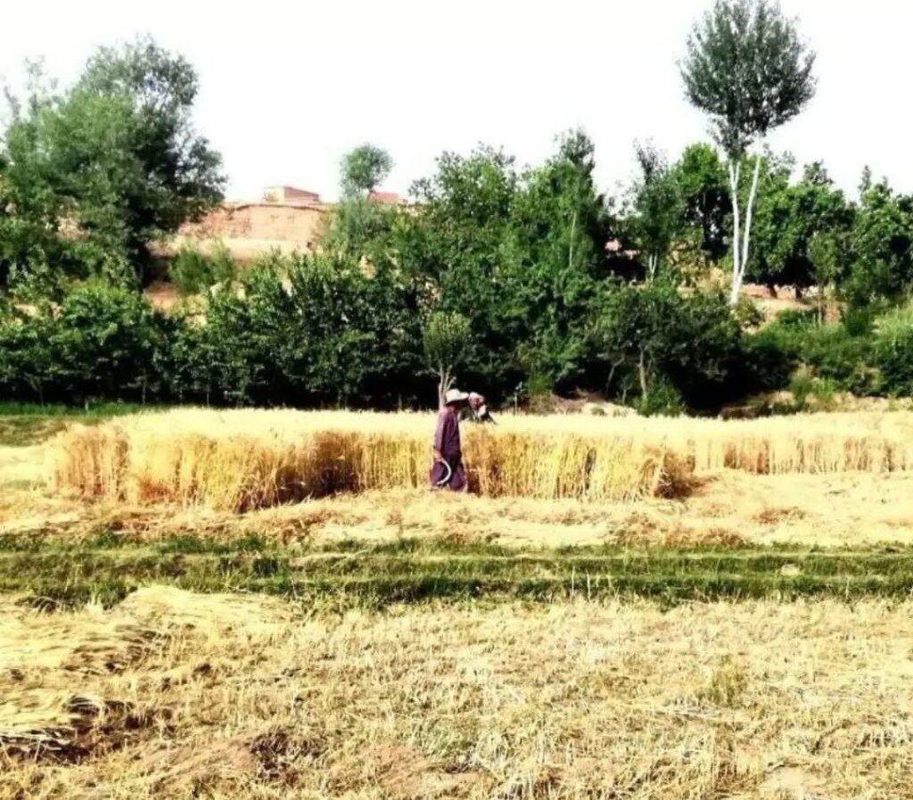 ولسوالی ادرسکن