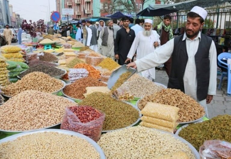 جشنواره‌های فرهنگی و هنری هرات